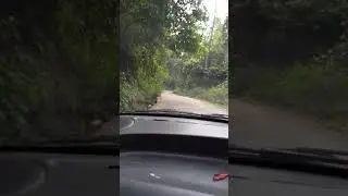 Bisle Ghat | Bisle Village | Rain Forest | Kukke to Saklespura - Most Adventurous Road | Karnataka❤️
