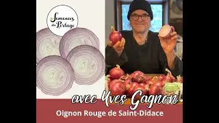 Présentation de l’Oignon Rouge de Saint-Didace. Yves Gagnon. Semences du Portage.