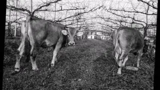 persone anni 1900 Negrisia il mondo rurale Gino Spricigo