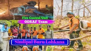 Similipal Buru Lohkana//Fire Control//Similipal Forest//National Tigers Reserve Forest-2024