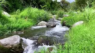 Tranquil River Flow &ndash; 10 Hours of Water ASMR  - Stress, Anxiety Relief & Meditation Sounds