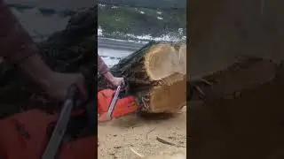 Хускварна 372 xp, xtorq.Пила для профисионалов!