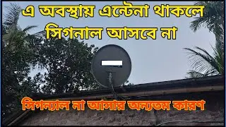 এ অবস্থায় এন্টেনা থাকলে সিগনাল আসবে না | DTH NO SIGNAL PROBLEM| DTH SIGNAL SETTING| ANTENNA SETTING