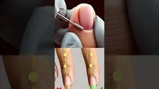 schemes & animations