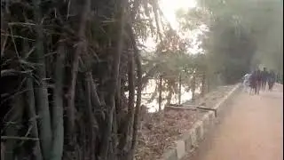 Nature walk part 1#dance #december7 #funny #worldwar2 #music #comedy #lifeisbutadream 