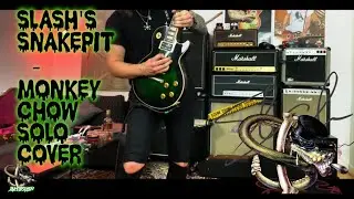 Slash's Snakepit - Monkey Chow Solo Cover