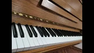 Flohwalzer (St&auml;dtische Musikschule Neutraubling)
