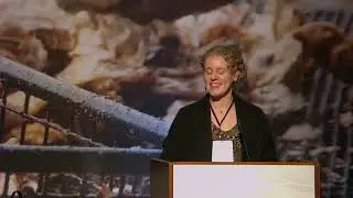Ecosystems and environment&mdash;MCA 2024