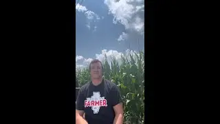 Environmental Benefits of Ethanol