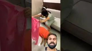 love #前妻 #饲养员日常 #寵物友善日常 #pets #animals #cute #doglife #shortvideo