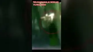 Tiruvannamalai Siddhar Flying Video #omnamahshivaya #tiruvannamalaitemple #lordshiva #siddhargal