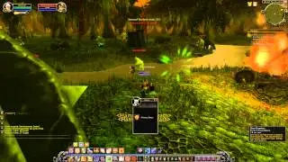 Quest 555: Reinforcements Denied (WoW, human, paladin)