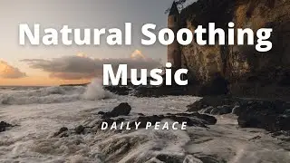 1 hour Meditation Music for Relaxation | Daily Peace | Latest Natural Soothing Music