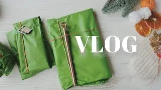 Lelya Lee Workshop VLOG | Распаковка 🎁