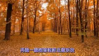 與你走過的老路 瑞和