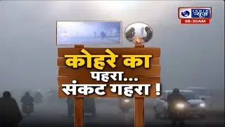 UP Weather Update: कोहरे का पहरा...संकट गहरा ! यूपी में ठंड का कहर...कोहरा ही कोहरा! | India News UP