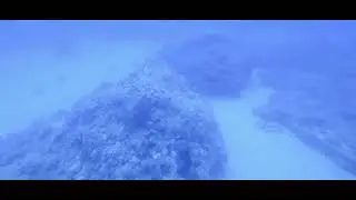 Blue Safari Submarine dive 35 m deep Mauritius Part 1. Погружение на подводной лодке Маврикий Часть1