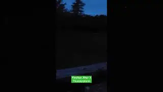 Lightning Bugs or Fireflies #fireflies #lightning #lightningbugs #nature #shorts #bugs