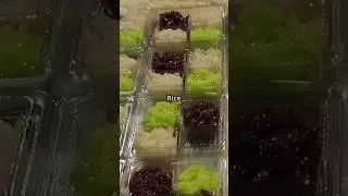 Rice Cakes: Global Munchies Delight!