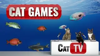 CAT Games TV | Underwater Compilation 1 | Relaxing Fish Videos For Cats To Watch | Relax My Cat 🐠