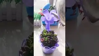 Make flower pots from laundry detergent bottles | Ep9