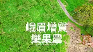 【住商蓁蓁】峨眉增值快樂果農