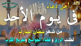 دعاء فى يوم الجمعة المستجاب دعاء يوم 18 من شهر شعبان للرزق والشفاء العاجل وقضاء الحوائج 🤲(4k)