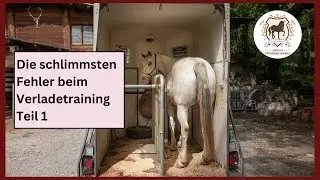 Sanftes Hängertraining