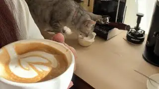 This Moment｜Coffee-