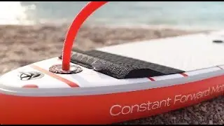 Shark SUPs - new collection 2021!