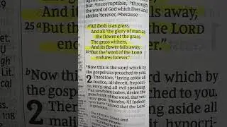 The word of God endure forever ￼#bibleverse #jesus #god