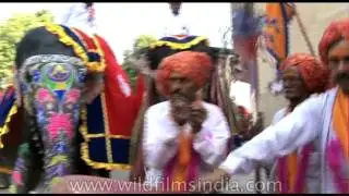Elephants move with poise in pageant a before Holi celebrations!