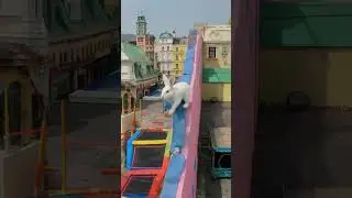 Bunny Hops Around In A Colorful City!! 🐰 #shorts