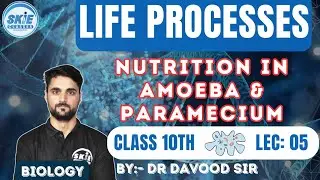 Nutrition in Amoeba & Paramecium | Life Processes | Lecture 5 | Class 10th | Dr Davood Sir | SKIE
