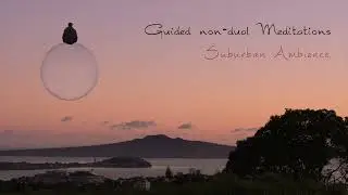20 Minute Guided Non-Dual Mediation: Suburban Ambience