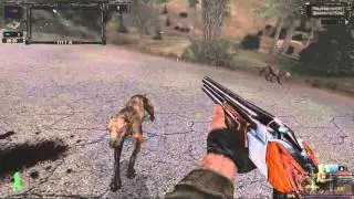 S.T.A.L.K.E.R. - Sigerous Mod: ТЧ: - Прохождение 1 серия