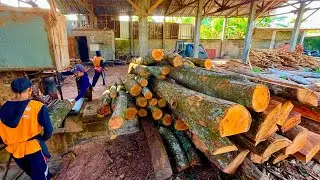 CRAZY, IT'LL MAKE YOU SHAKE! Watch the Operator Saw Durian Logs Up to 5 Meters Long