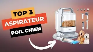 TOP 3 : Meilleur Aspirateur Poil de Chien 2025 🔥