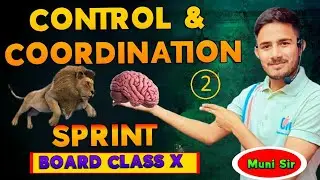 CONTROL AND CORDINATION PART 2 CLASS X #CBSE_BOARD_EXAM_2025 BIOLOGY UPDATE SYLLABUS