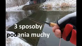 Jedno miejsce, trzy sposoby podania muchy.