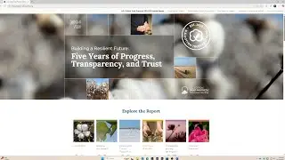 Marjory Walker Highlights the Findings of the US Cotton Trust Protocol Annual Report
