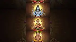 Namaste Negative Energy Block Karta Hai! 🙏| VTD #shorts #facts #namaste #science #india