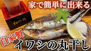 家で簡単に出来る【自家製イワシの丸干し】#干物#焼き魚#イワシ