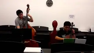 Atonal music for cello and bass