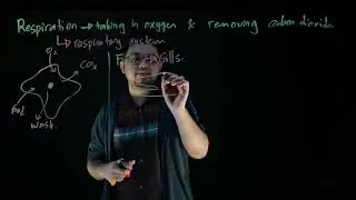 BIOLOGY | Form 4 Chapter 8: Respiratory systems in humans and animals
