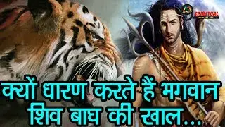 भगवान शंकर क्यों पहनते हैं बाघ की खाल, जानिए क्या है इसका रहस्यी | Why Lord Shiva Wears Tiger Skin