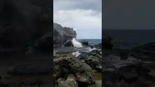 Maui(18)
