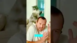 Funniest Cat 🐈&zwj;⬛ Kitten meowing 🐱 # Episode 7975