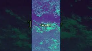 #Tuesday Buzzcocks - Operators Manual #chaos #myvibe #daily #nthemind  #Osyus #fyp