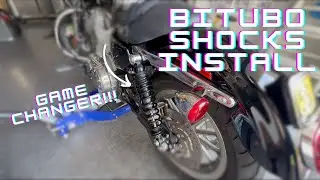 Bitubo Shocks - How to Install + Review | Harley Davidson Sportster
